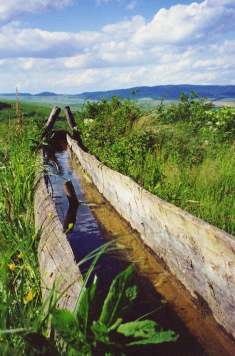 Žľab